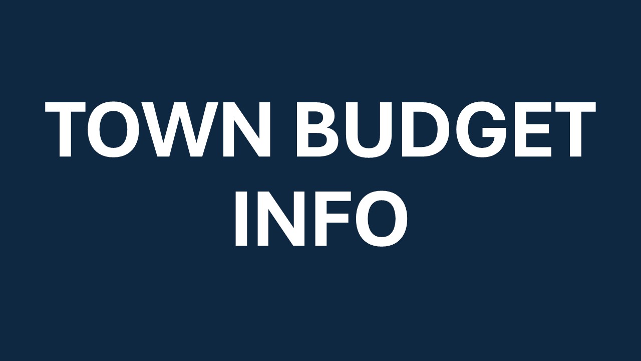 Town Budget Info
